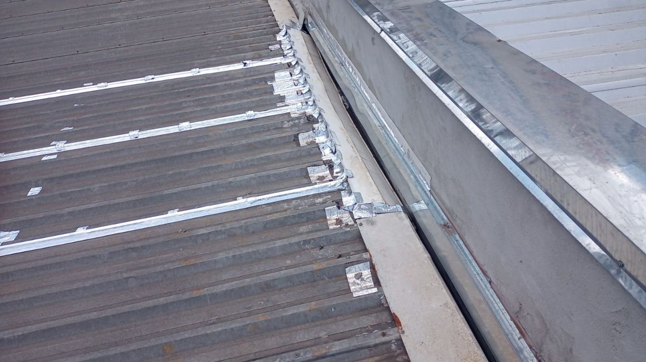 WhatsApp Image 2023-08-15 at 15.50.04.jpeg